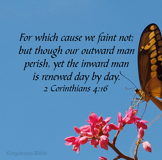 2 Corinthians 4:16 For which cause we faint not; but though our outward man perish, yet the inward man is renewed day by day. 