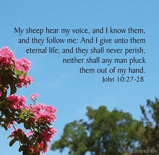 John 10:27-28 My sheep hear my voice, and I know them, and they follow me: And I give unto them eternal life; and they shall never perish, neither shall any man pluck them out of my hand. 